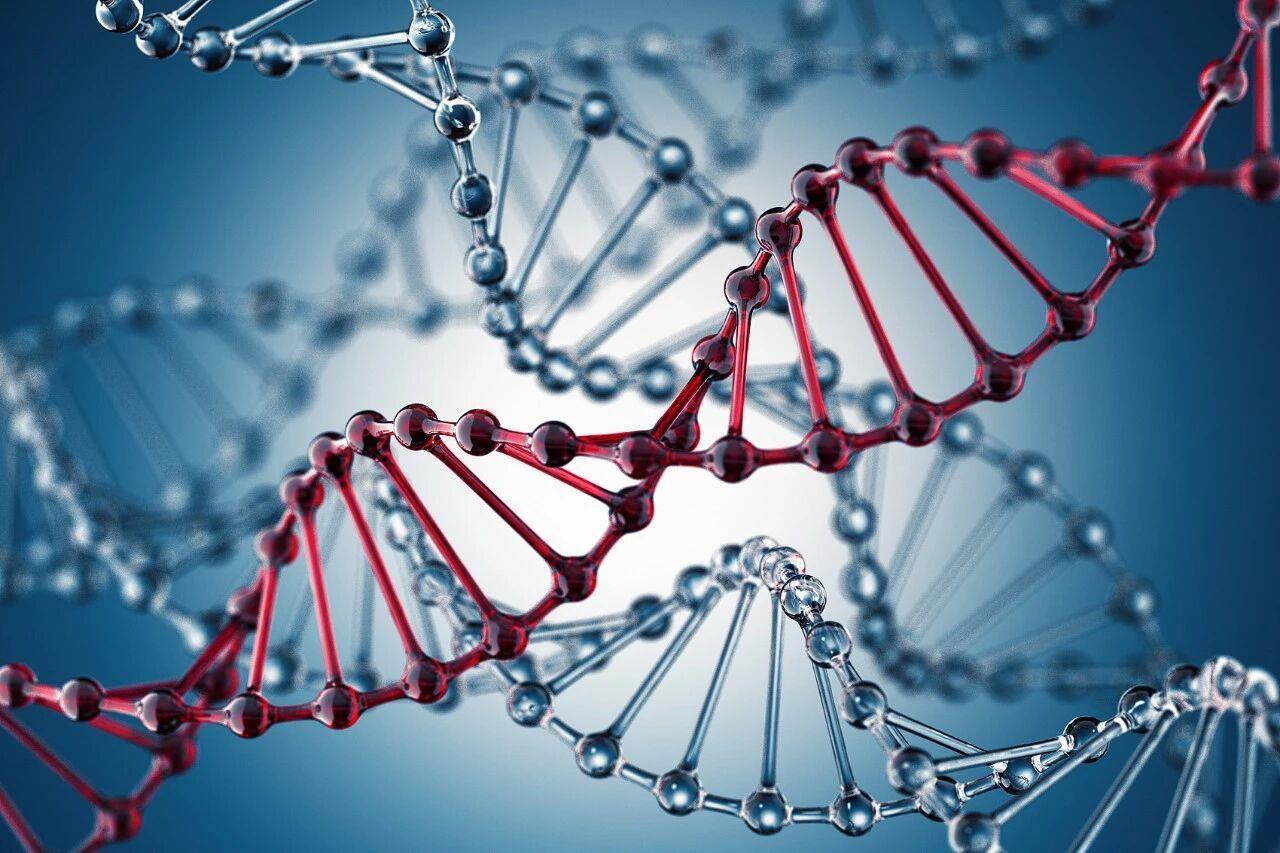 數據或成“生物炸彈”原料 跨國合作中的生物數據泄露風險與網絡信息安全防護策略